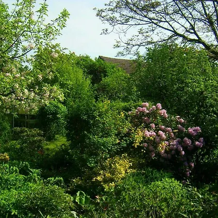 Annemarie Hébergement de vacances Senftenberg