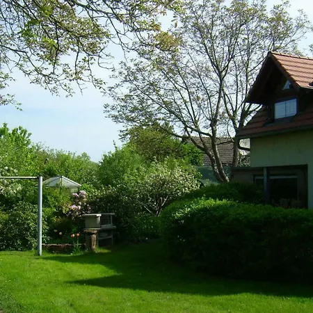 Annemarie Senftenberg